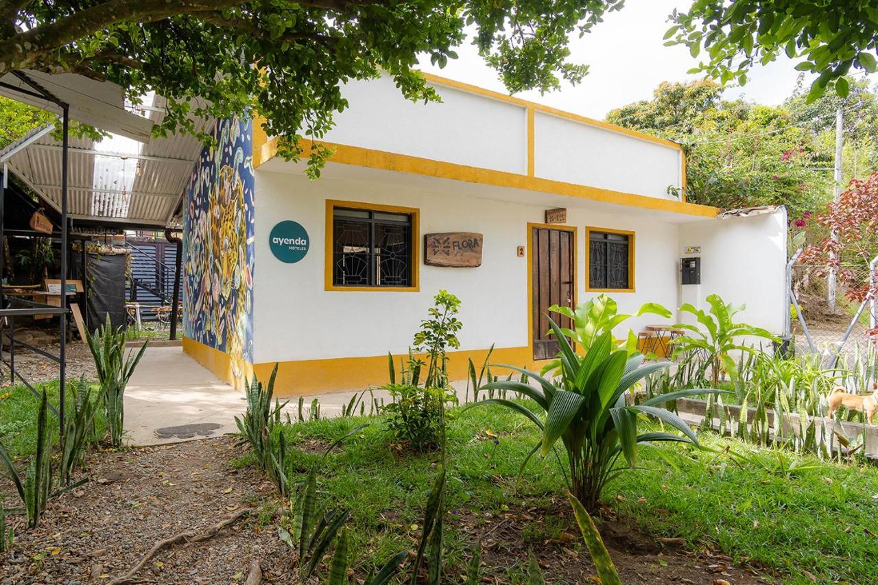 Ayenda Flora Jaguar Ibagué Exterior foto